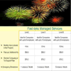 It-managed-services